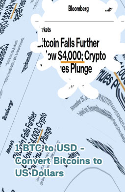 Btc to usd converter