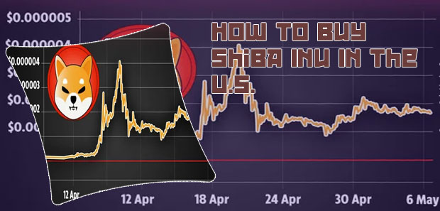 Buying shiba inu crypto