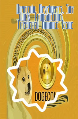 Does binance have dogecoin