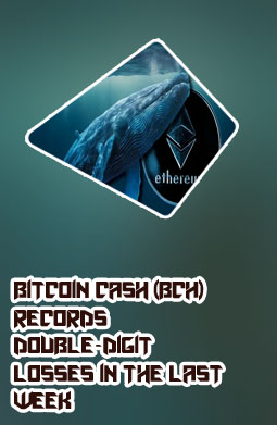 Inside bitcoin week