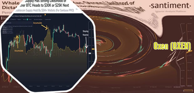 Oxen crypto price