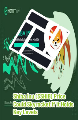 Shib crypto
