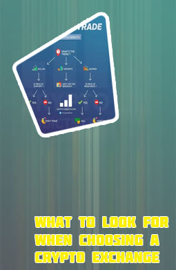 What crypto to buy now