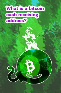 What is bitcoincash