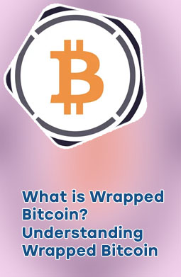 Wrapped bitcoin vs bitcoin